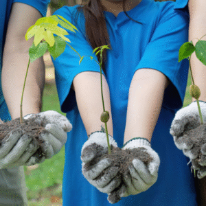 concienciación medioambiental
