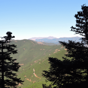 1 sierra de las nieves