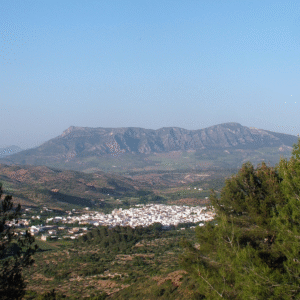 10 proyecto biomalaga 10