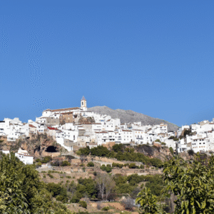 12 proyecto biomalaga 12