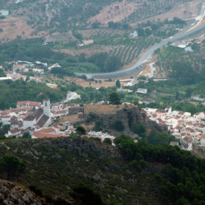 2 objetivos bio+a malaga