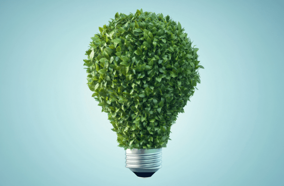 capacitación forestal