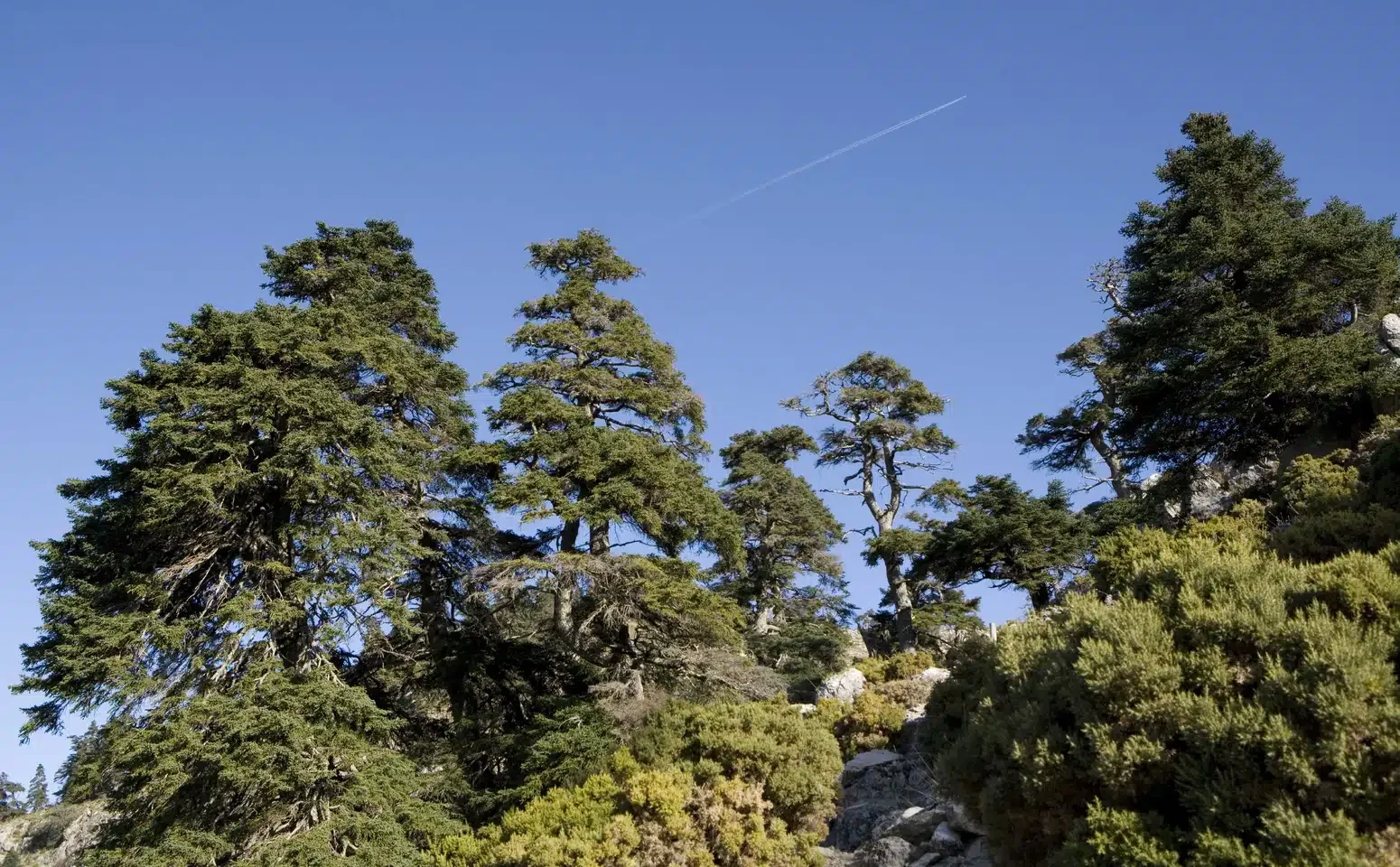 sierra de las nieves