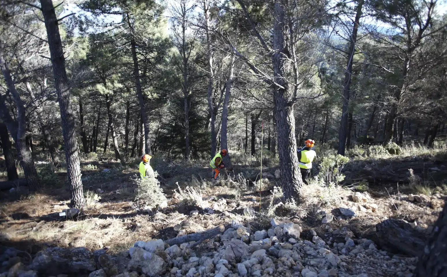 limpieza el burgo yunquera biomasa