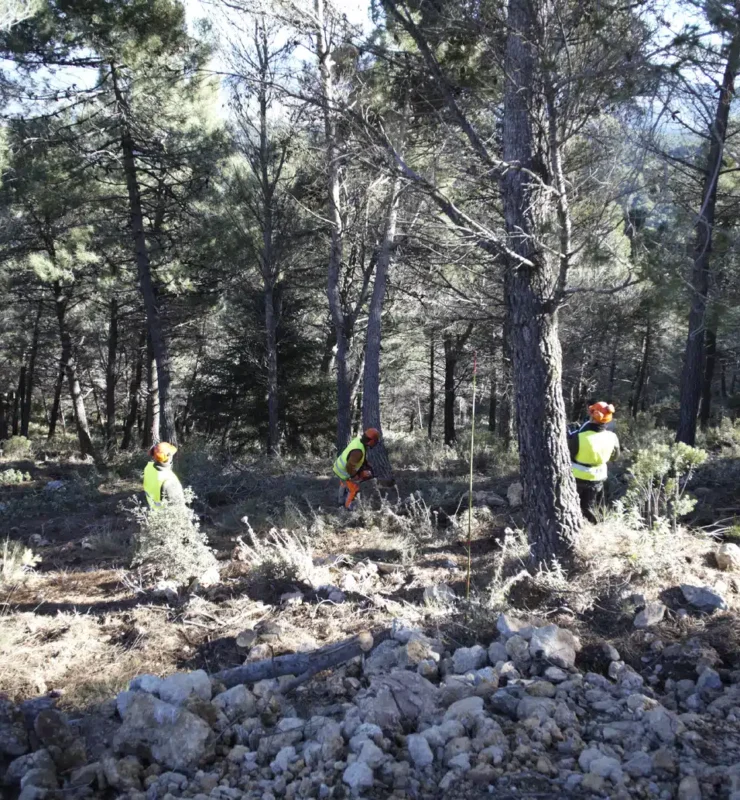 limpieza el burgo yunquera biomasa