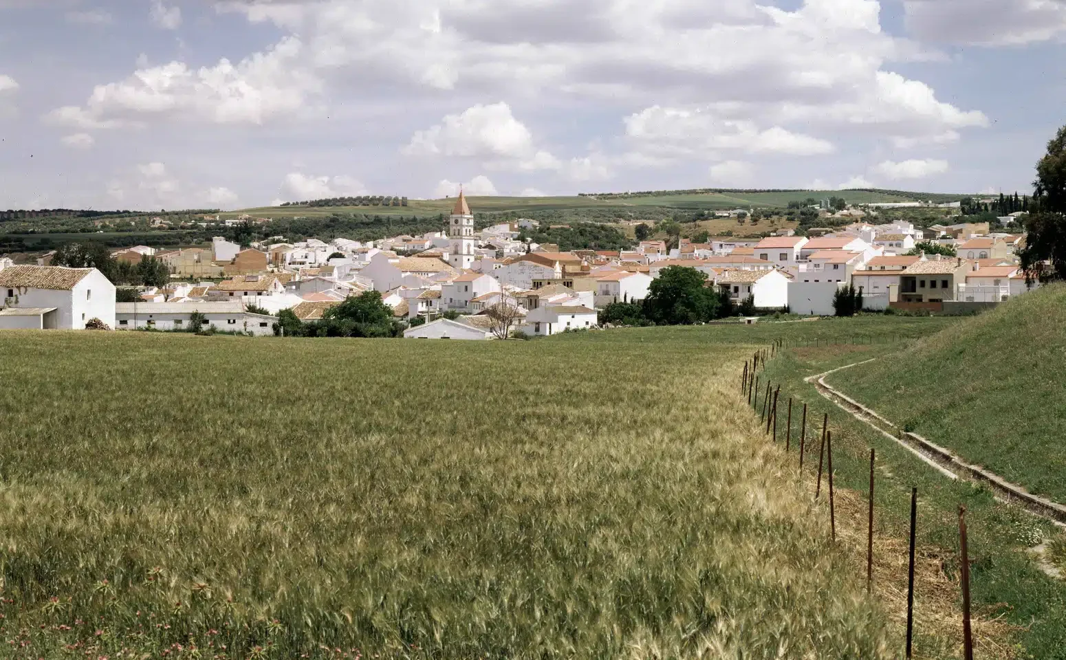 comunidades energeticas serrania ronda