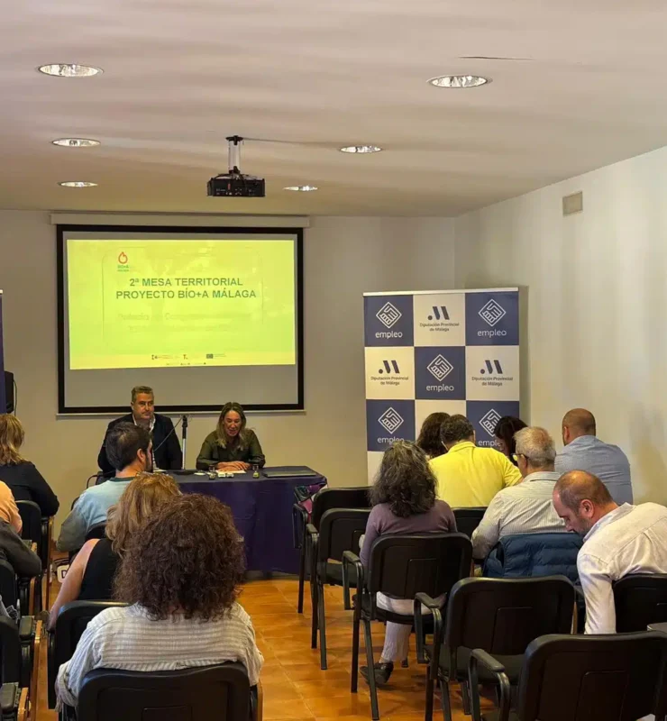 segunda mesa sectorial